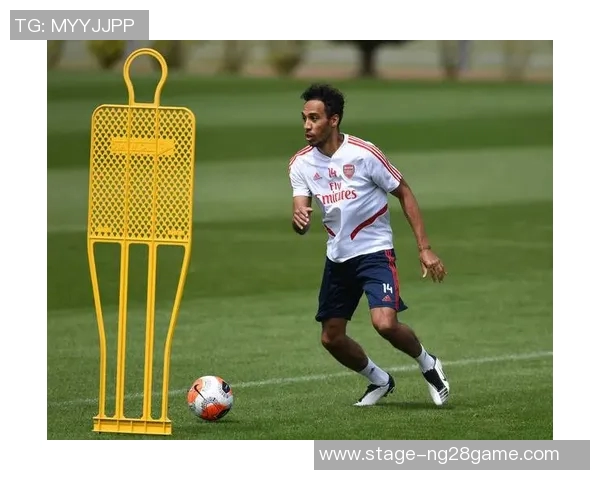 阿森纳足球队队员的成长历程与赛场表现分析